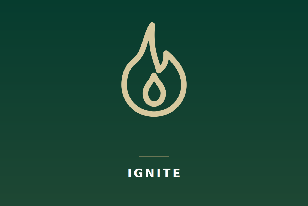 Ignite icon