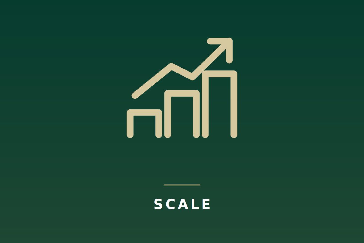 Scale icon